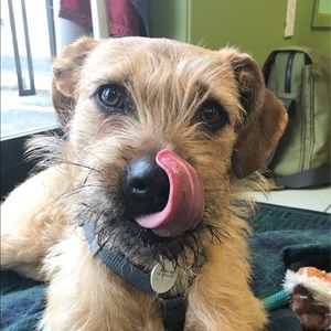 Meet your Posher, Tracy